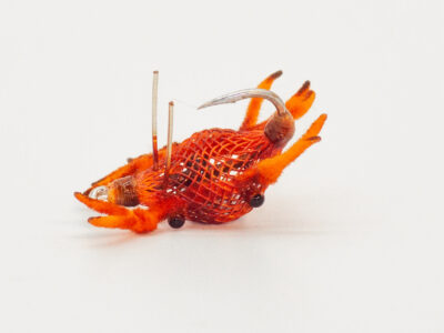 orange:orange leg