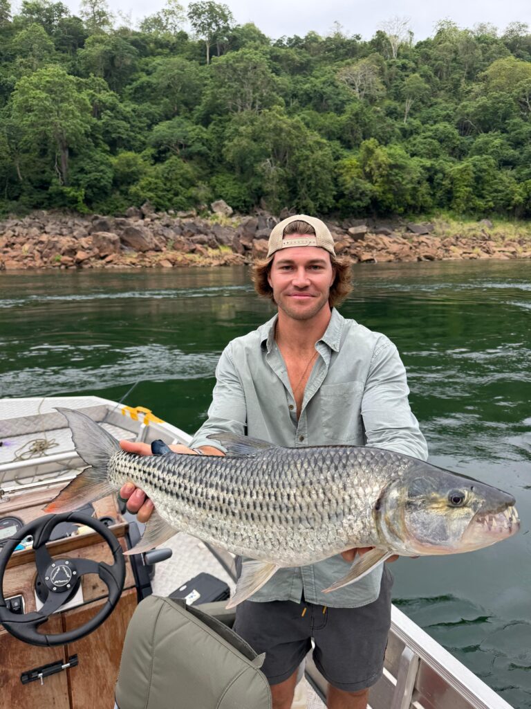 roan & large rifiji river tiger